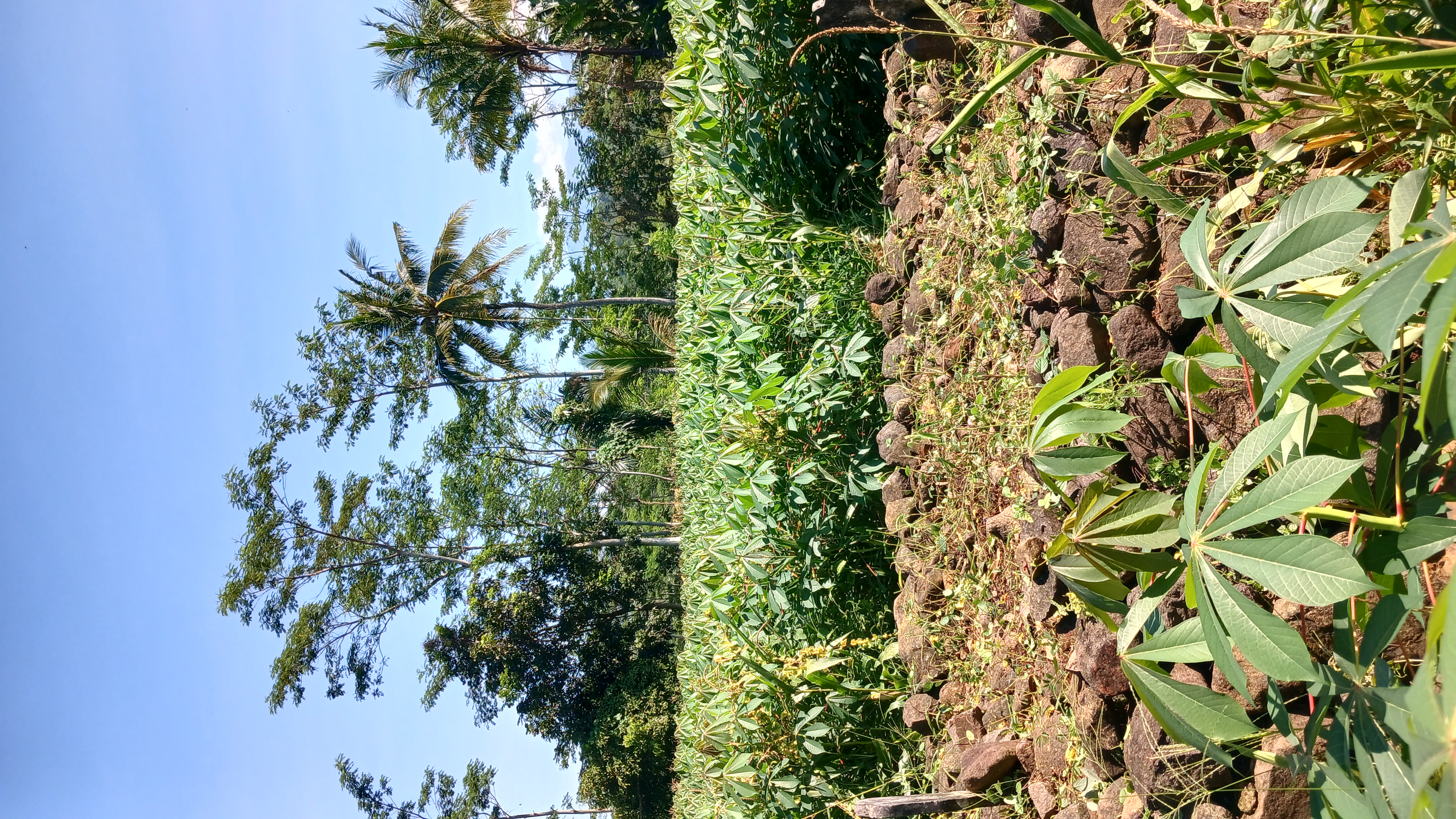Punden Berundak